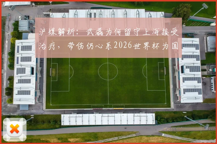 沪媒解析：武磊为何留守上海接受治疗，带伤仍心系2026世界杯为国出战