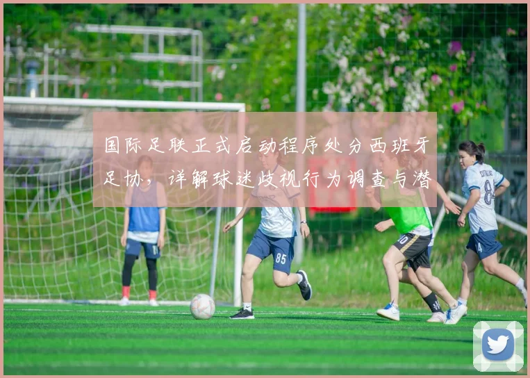 国际足联正式启动程序处分西班牙足协，详解球迷歧视行为调查与潜在处罚，事关2026世界杯